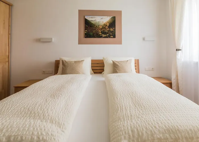 Im Huggn Apartment Fulpmes